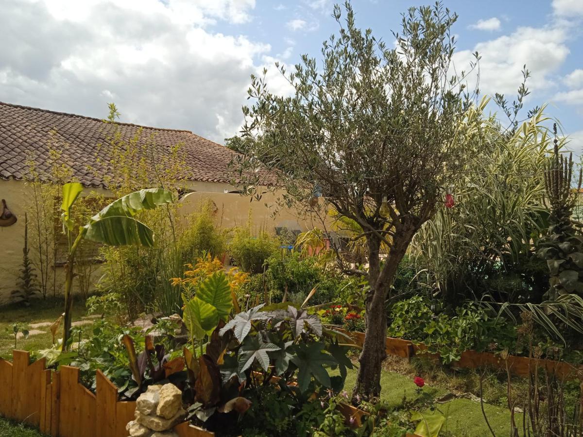הוילה Saint-Germain-de-Princay G1 Les Oliviers מראה חיצוני תמונה